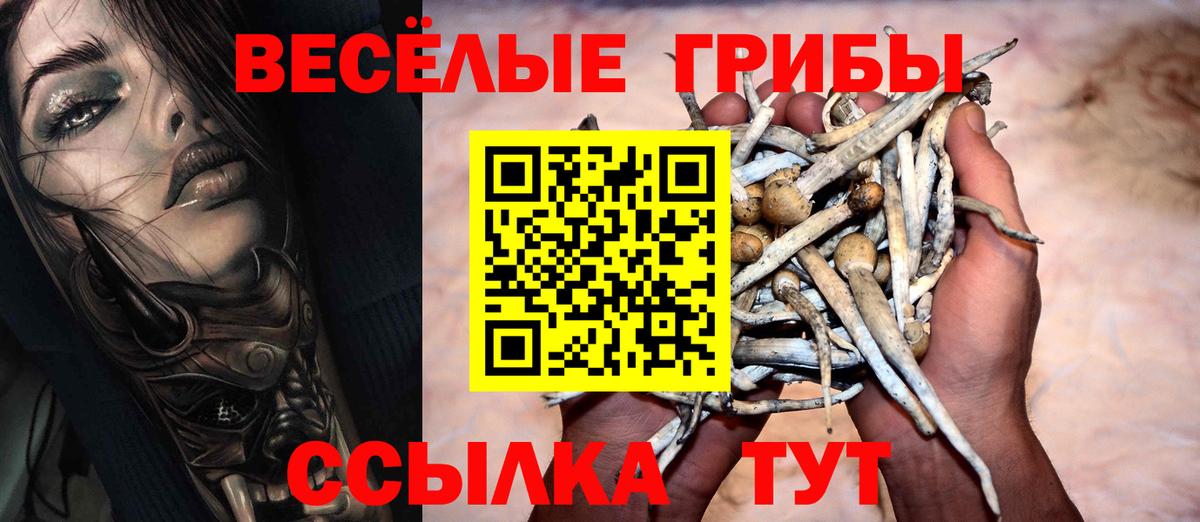Георгиевск  Псилоцибиновые грибы ЛСД  Вход с VPN 